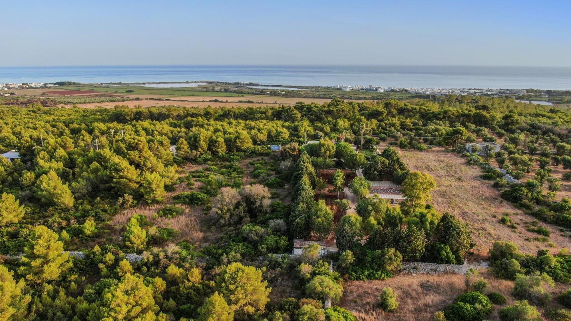 Allu Ruvezzu Torre Mozza Exterior photo